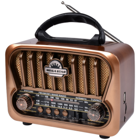 Comprá Radio Portátil Mega Star RX309BTM AM/FM Bluetooth - Envios a todo el  Paraguay
